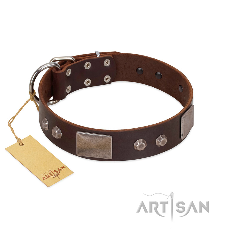 (image for) "Stone Stars" Stylish Handmade FDT Artisan Brown Leather American Bulldog Collar