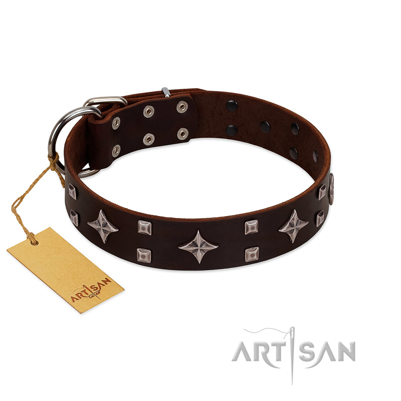 (image for) "Trendy Candy" FDT Artisan Brown Leather American Bulldog Collar Adorned with Stars and Tiny Squares