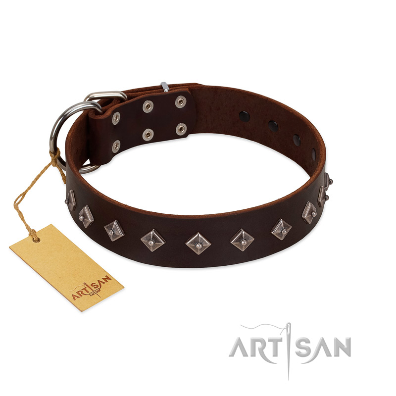 (image for) "Boundless Energy" Premium Quality FDT Artisan Brown Designer Leather American Bulldog Collar with Small Pyramids