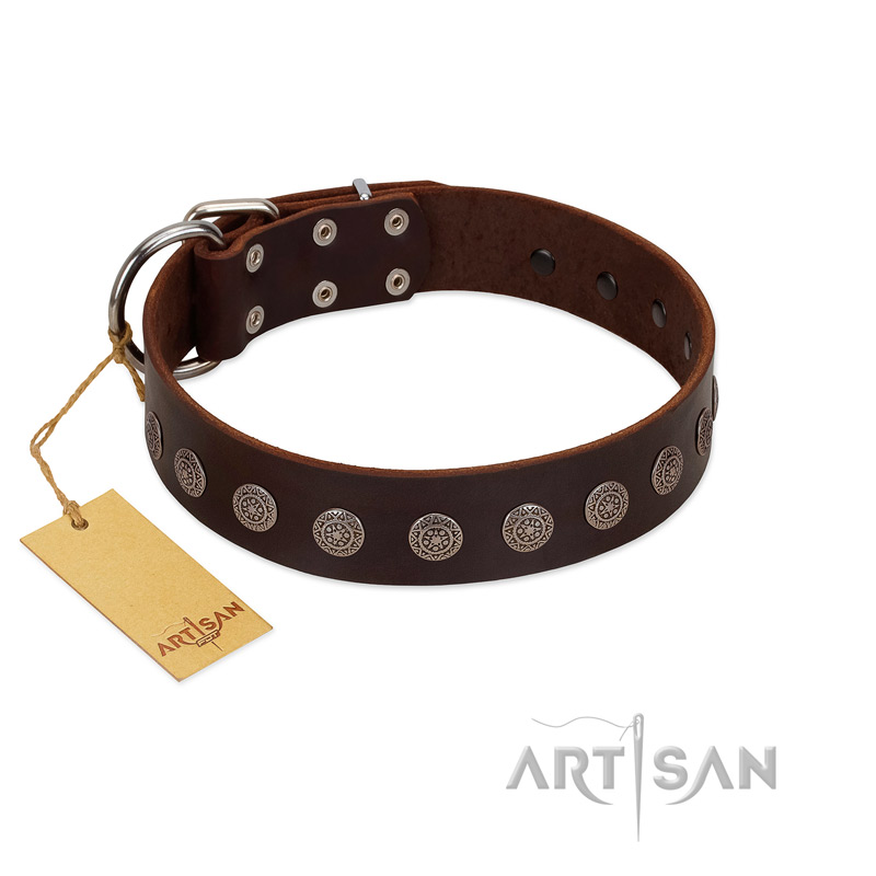 (image for) "Starry-Eyed" Best Quality FDT Artisan Brown Designer Leather American Bulldog Collar with Small Plates