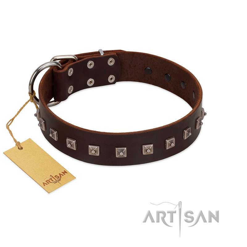 (image for) "Kingly Grace" FDT Artisan Brown Leather American Bulldog Collar with Silver-like Dotted Studs