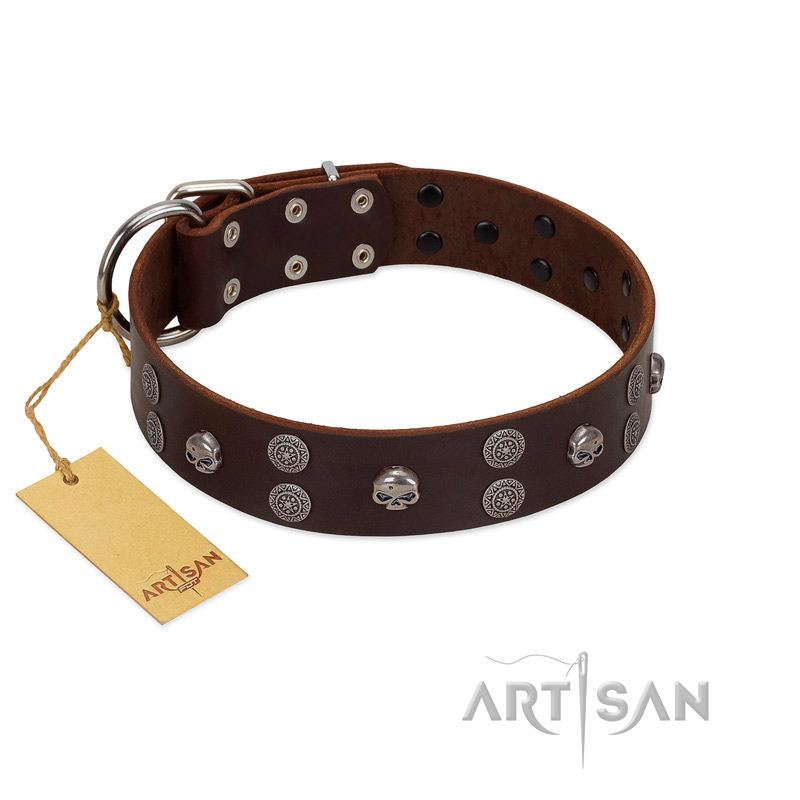 (image for) "Skull Valley" Handcrafted FDT Artisan Brown Leather American Bulldog Collar with Skulls