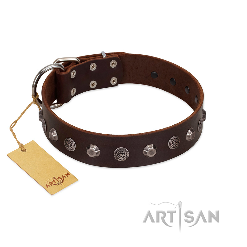 (image for) "Dark Chocolate" Handmade FDT Artisan Brown Leather American Bulldog Collar with Studs