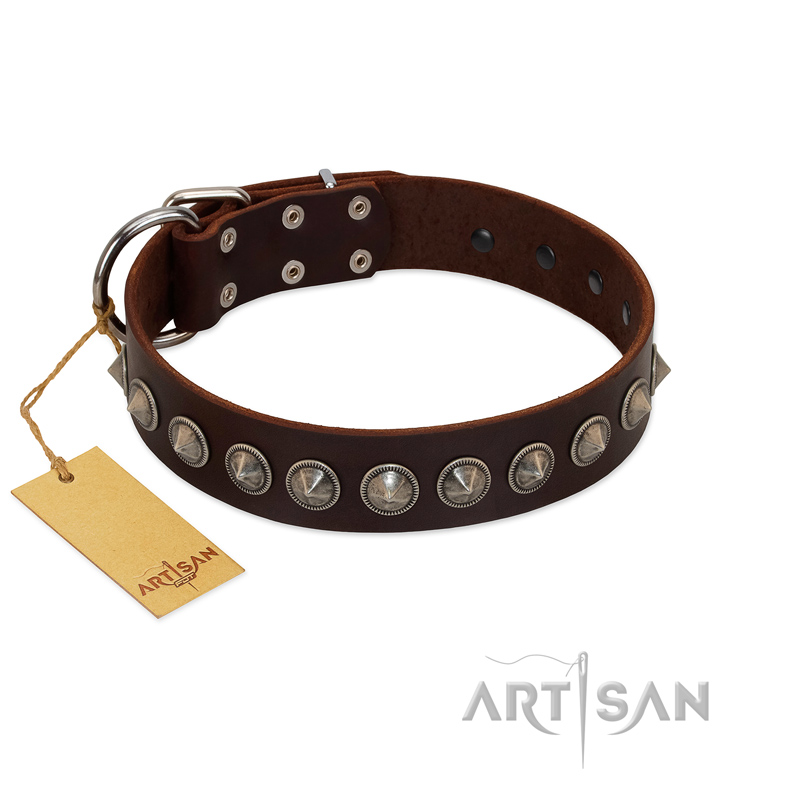 (image for) "Gothic Style" FDT Artisan Fancy Brown Leather American Bulldog Collar with Silver-Like Decorations