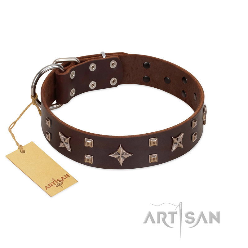 Best collar for bulldog cheap