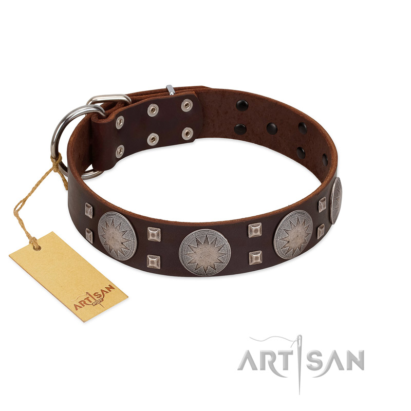 (image for) "Sun in Barchans" Modern FDT Artisan Brown Leather American Bulldog Collar with Engraved Stars on Round Plates and Studs