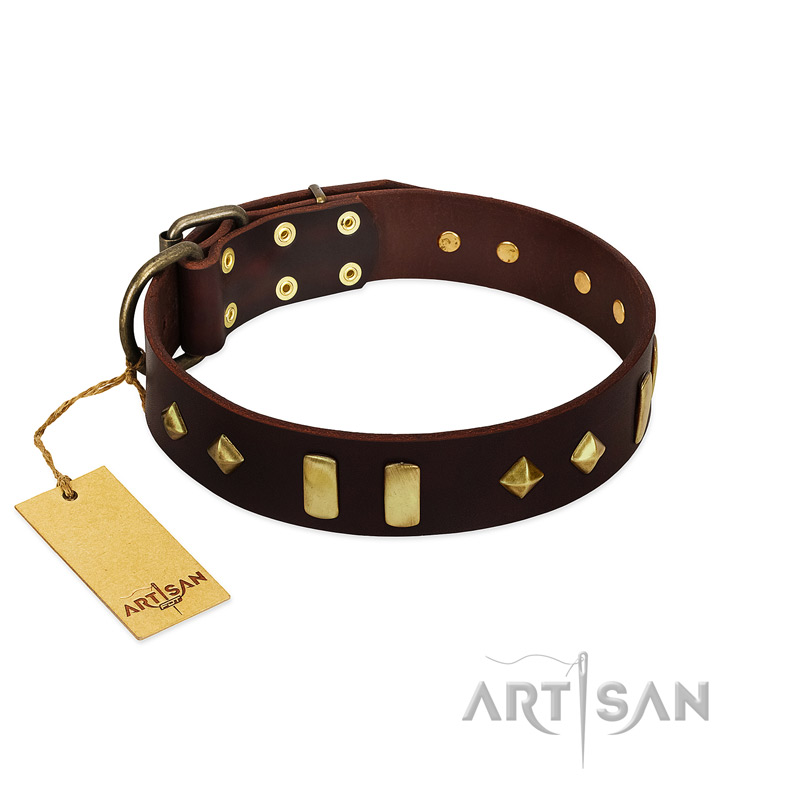 (image for) "Blinking Illusion" FDT Artisan Brown Leather American Bulldog Collar with Old Bronze-like Studs and Plates