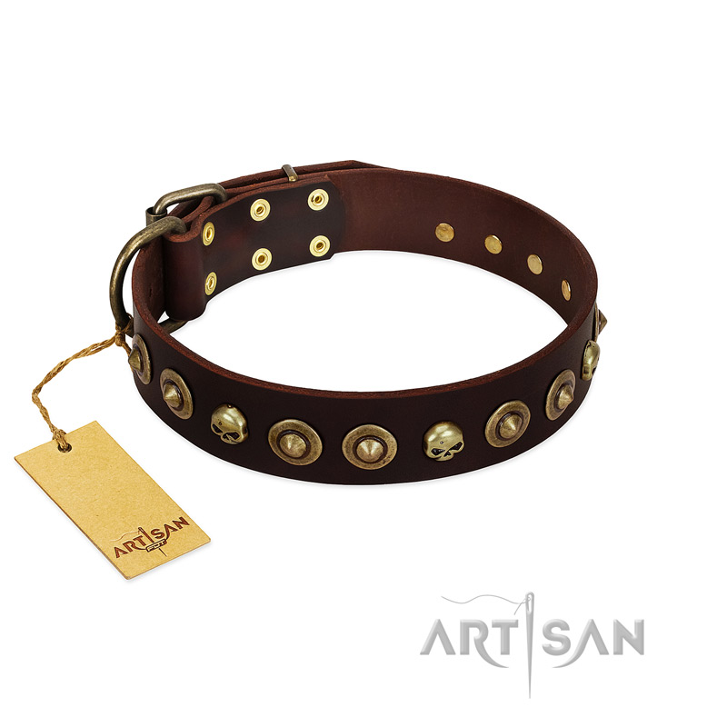 (image for) "Street Fashion" FDT Artisan Brown Leather American Bulldog Collar Adorned with Circles and Skulls