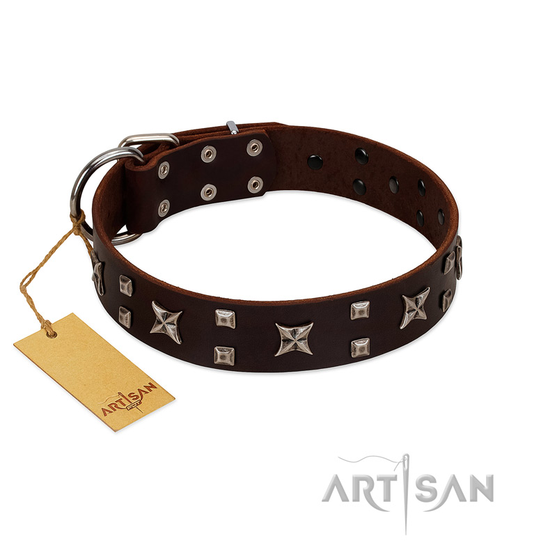 (image for) "Bigwig Woof" FDT Artisan Brown Leather American Bulldog Collar with Chrome Plated Stars and Square Studs