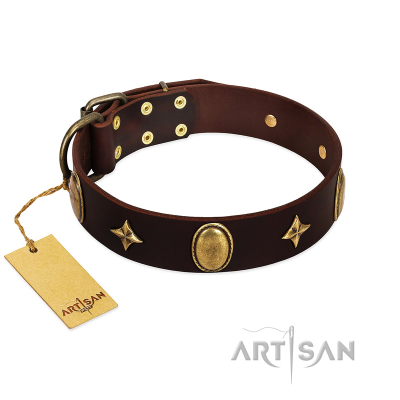 (image for) "Victory and Laurels" FDT Artisan Brown Leather American Bulldog Collar with Ovals and Stars