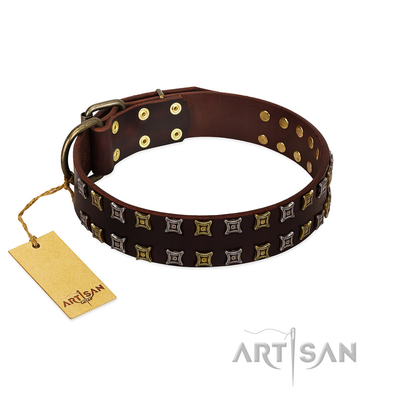 Fido's Pleasure FDT Artisan Brown Leather Dog Collar with Amazing