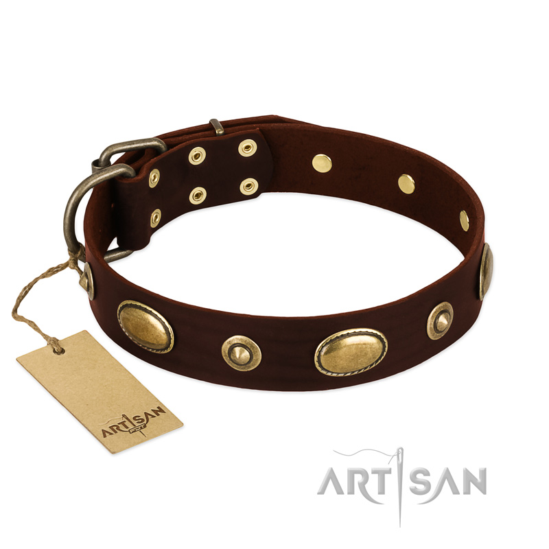 (image for) "Hebe's Jewel" FDT Artisan Brown Genuine Leather American Bulldog Collar