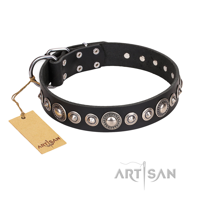 (image for) "Strict Elegance" FDT Artisan Black Leather American Bulldog Collar with Decorations
