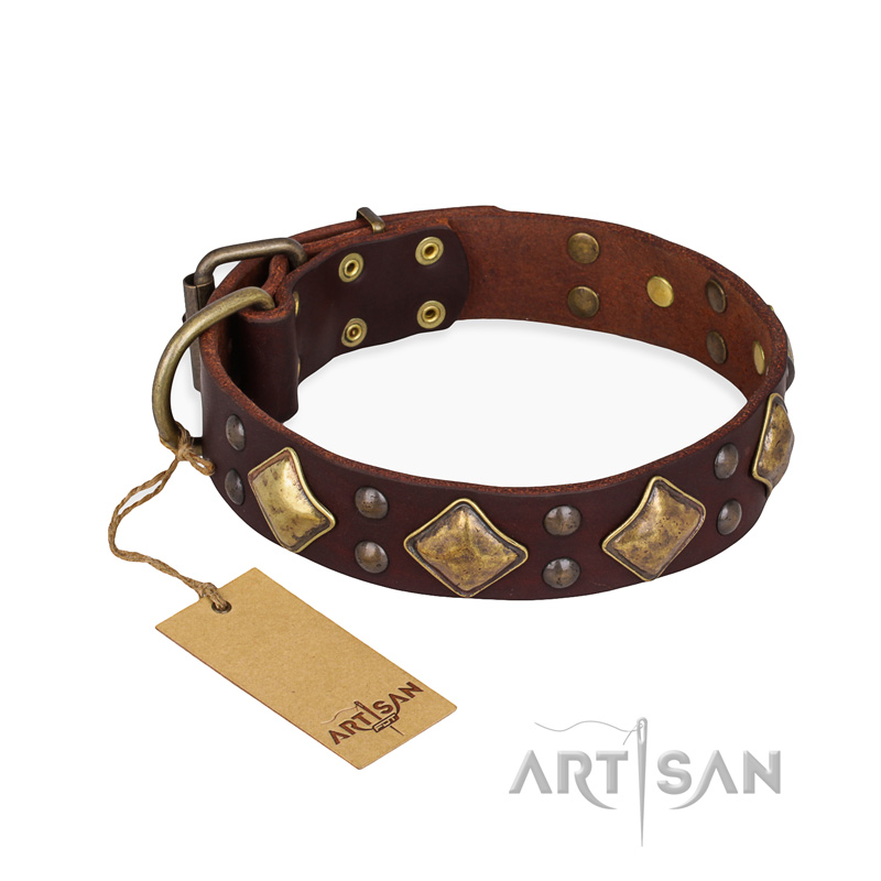 (image for) "Golden Square" FDT Artisan Brown Leather American Bulldog Collar with Large Squares