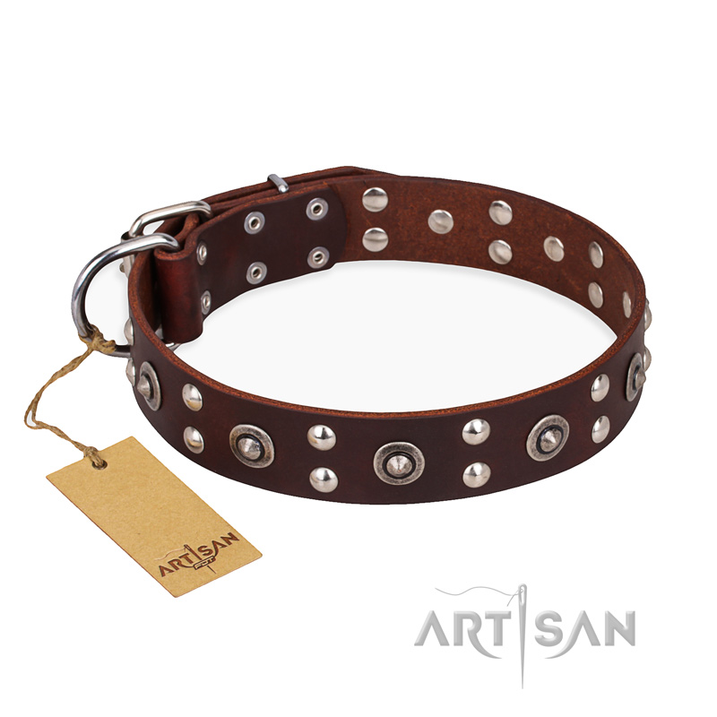 (image for) "Pirate Treasure" FDT Artisan Exciting Brown Leather American Bulldog Collar with Studs