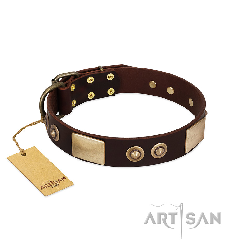 (image for) "Sense of Freedom" FDT Artisan Brown Leather American Bulldog Collar with Old Bronze-Plated Studs and Plates