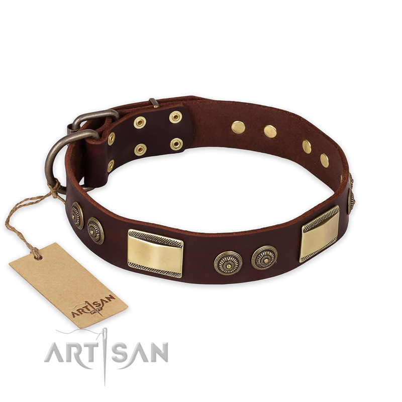 (image for) "Golden Stones" FDT Artisan Brown Leather American Bulldog Collar with Old Bronze Look Plates and Circles