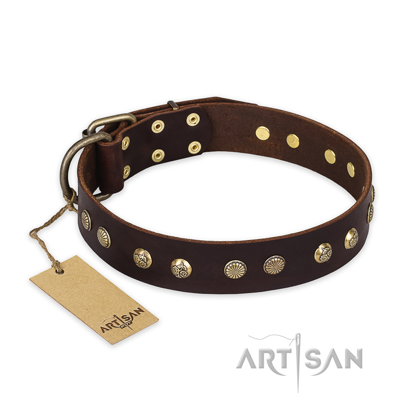 (image for) "Bronze Sheen" FDT Artisan Leather American Bulldog Collar with Brass-Plated Studs