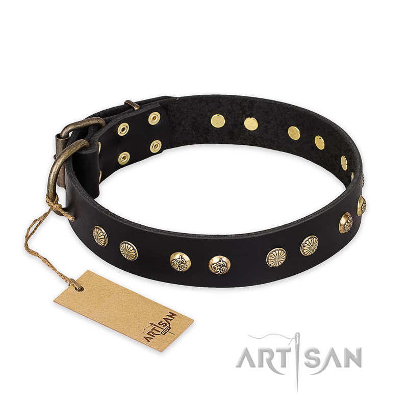 (image for) "Black Elegance" FDT Artisan Leather American Bulldog Collar with Round Studs