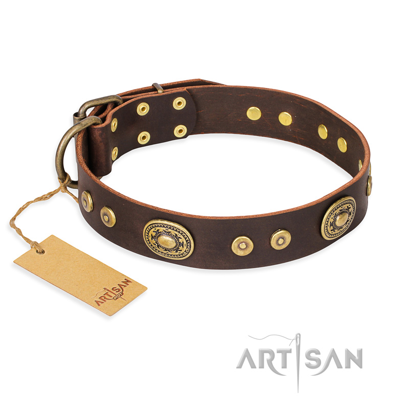 (image for) "One-of-a-Kind" FDT Artisan Handmade Decorated Brown Leather American Bulldog Collar