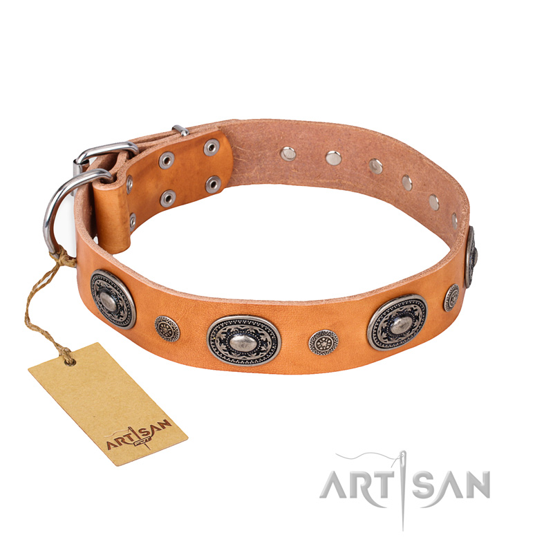 (image for) "Twinkle Twinkle" FDT Artisan Incredible Studded Tan Leather American Bulldog Collar