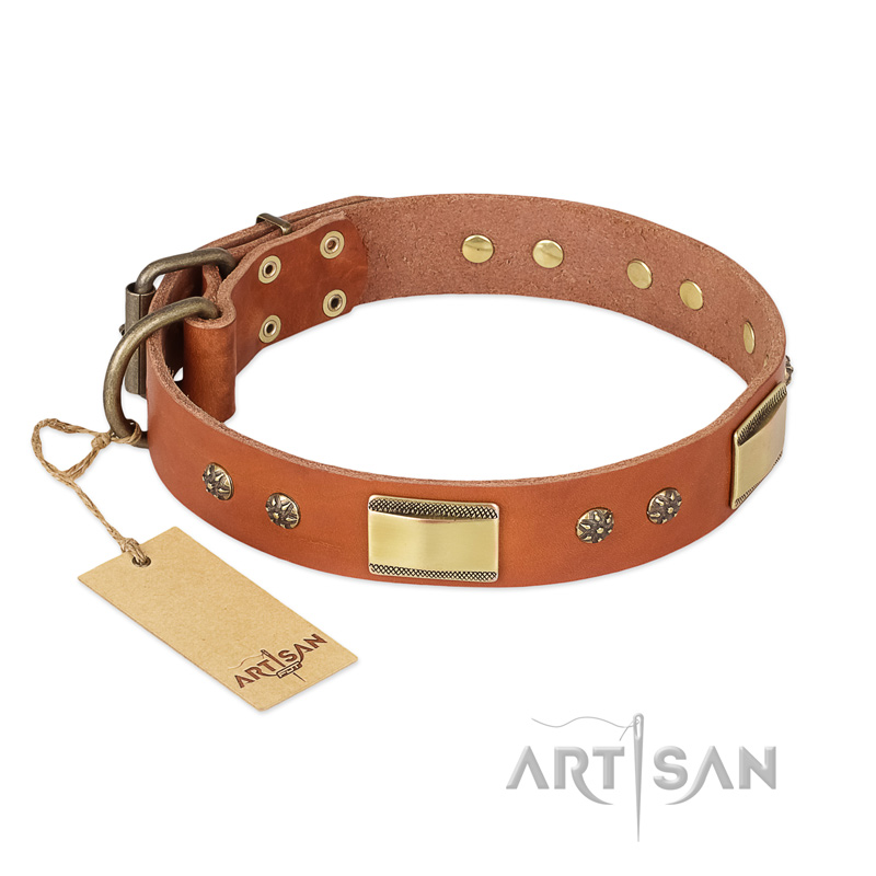 (image for) "Enchanting Spectacle" FDT Artisan Tan Leather American Bulldog Collar with Old Bronze Look Plates and Round Studs