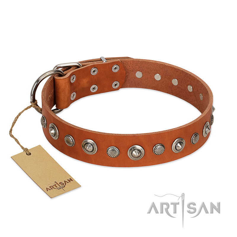 (image for) "Gorgeous Roundie" FDT Artisan Tan Leather American Bulldog Collar with Chrome-plated Circles