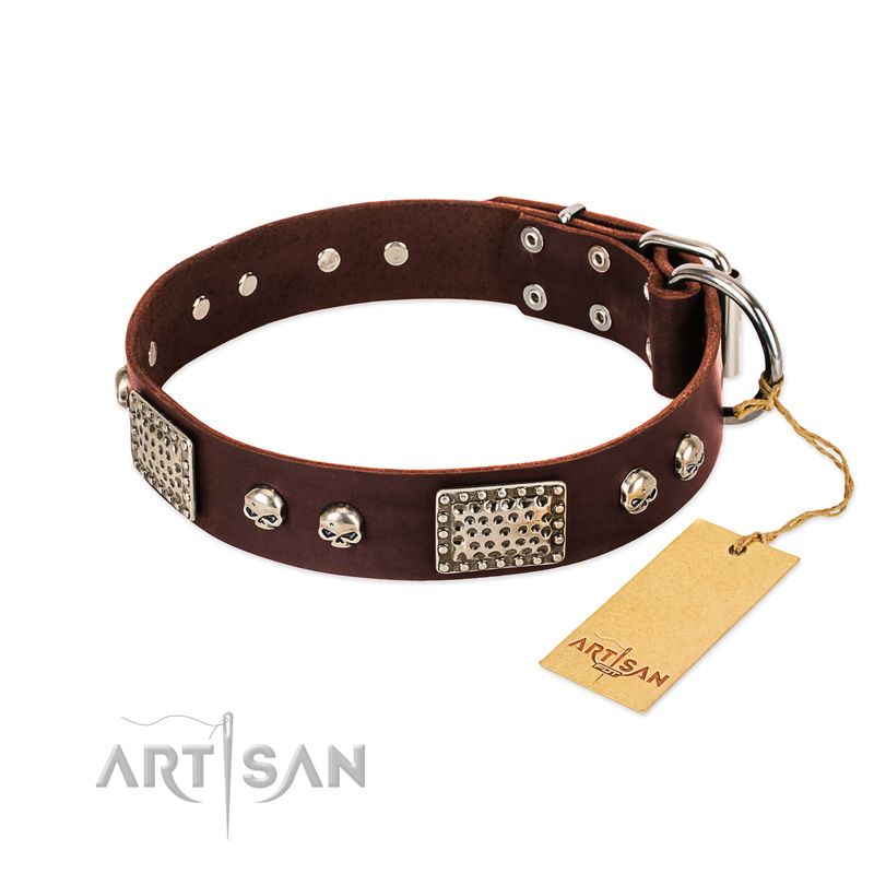 (image for) "Pirate Skull" FDT Artisan Brown Leather American Bulldog Collar with Old Silver Look Plates and Skulls