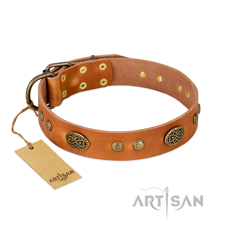 (image for) "Sun Beams" FDT Artisan Tan Leather American Bulldog Collar with Decorations