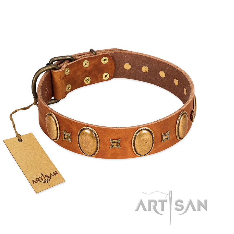 (image for) "Glossy Autumn" Designer Handmade FDT Artisan Tan Leather American Bulldog Collar with Ovals and Studs