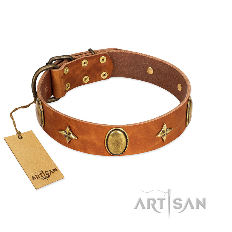 (image for) "Space Warrior" FDT Artisan Tan Leather American Bulldog Collar with Ovals and Stars