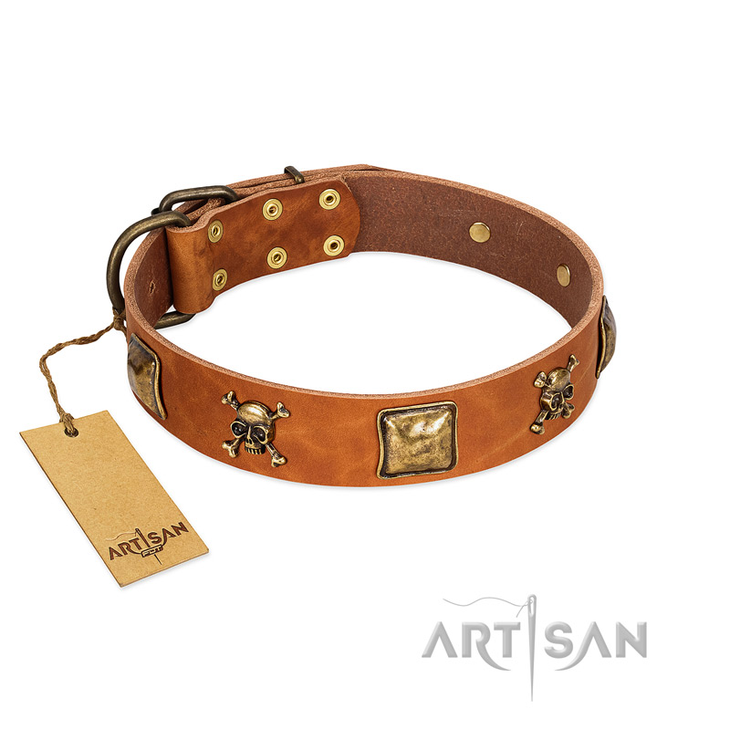 (image for) "Knights Templar" FDT Artisan Tan Leather American Bulldog Collar with Skulls and Crossbones Combined with Squares