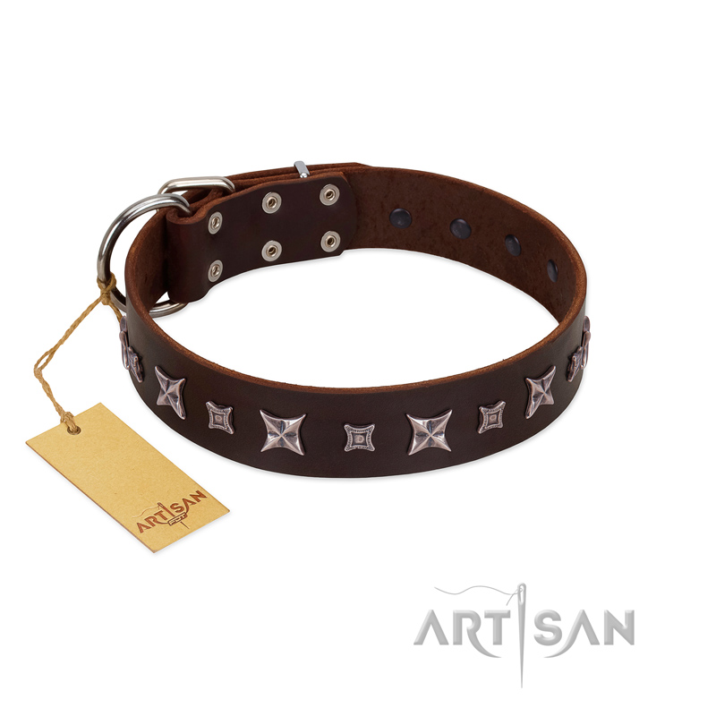 (image for) "Stellar Fairy " FDT Artisan Brown Leather American Bulldog Collar with Chrome-plated Star-like Decorations