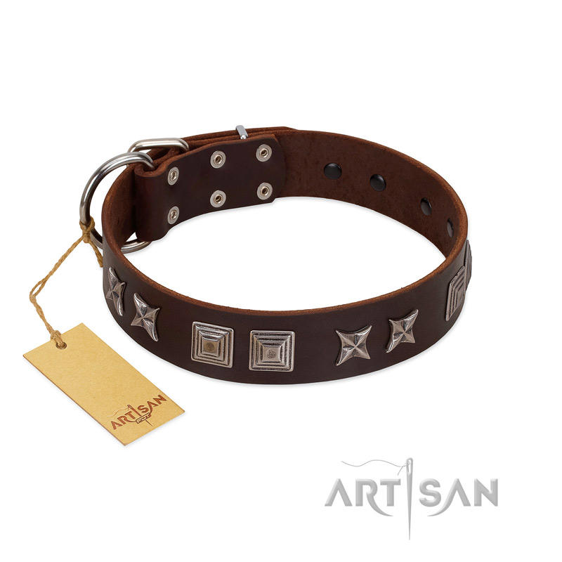 (image for) "Needle Stories" Modern FDT Artisan Brown Leather American Bulldog Collar with Square Engraved Plates and Four-Point Stars