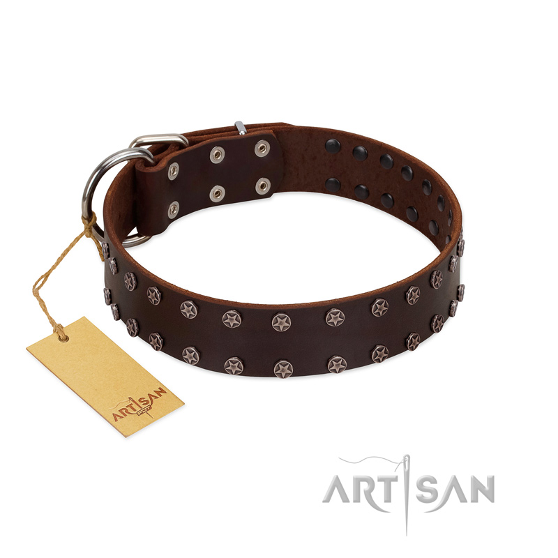 (image for) "Star Party" Handmade FDT Artisan Brown Leather American Bulldog Collar with Silver-Like Studs