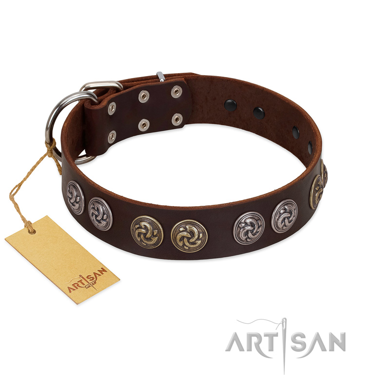(image for) "Treasure Hunter" FDT Artisan Brown Leather American Bulldog Collar with Old-Bronze-like and Silvery Medallions