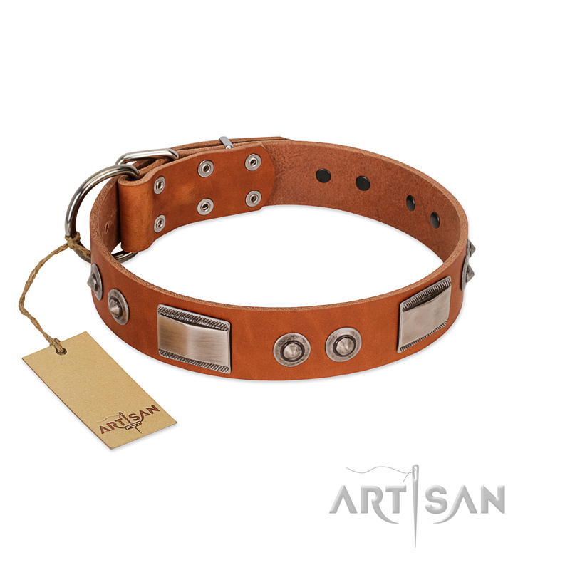(image for) "Pawsy Glossy" FDT Artisan Exclusive Tan Leather American Bulldog Collar 1 1/2 inch (40 mm) wide