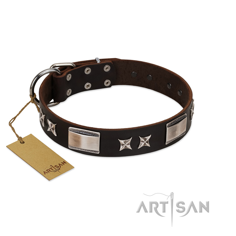 (image for) "Satin Beauts" FDT Artisan Brown Leather American Bulldog Collar with Stars and Plates