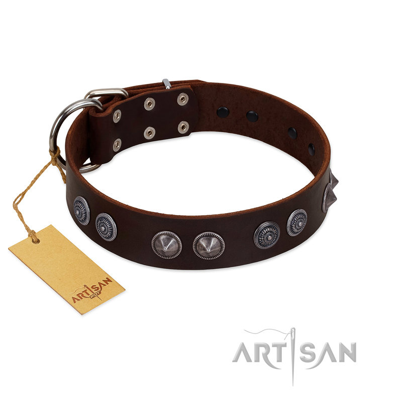 (image for) "King Arthur" FDT Artisan Brown Leather American Bulldog Collar with Spiky Plates