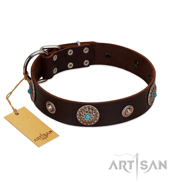 (image for) "Magic Stones" FDT Artisan Brown Leather American Bulldog Collar with Chrome Plated Brooches and Studs