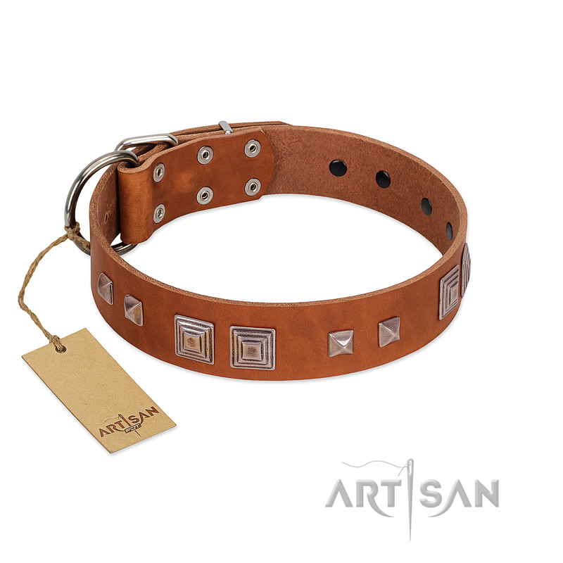 (image for) "Egyptian Gifts" Handmade FDT Artisan Tan Leather American Bulldog Collar with Chrome-plated Pyramids