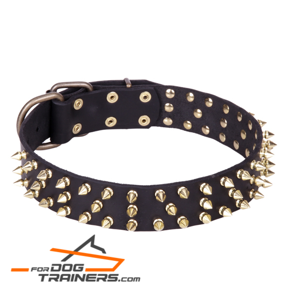 (image for) "Black Super Star" Leather Dog Collar with Brass Decorations