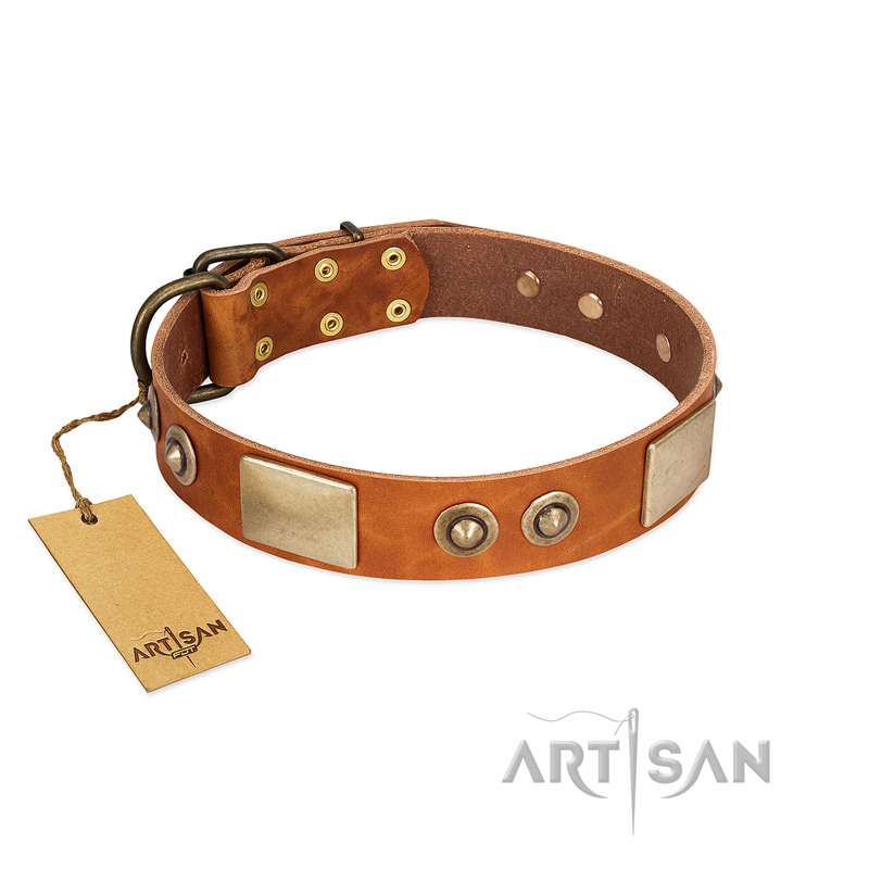 (image for) "Perfect Blend" FDT Artisan Tan Leather American Bulldog Collar 1 1/2 inch (40 mm) wide