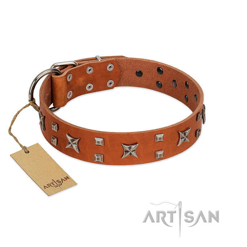 (image for) "Faraway Galaxy" FDT Artisan Tan Leather American Bulldog Collar Adorned with Stars and Squares