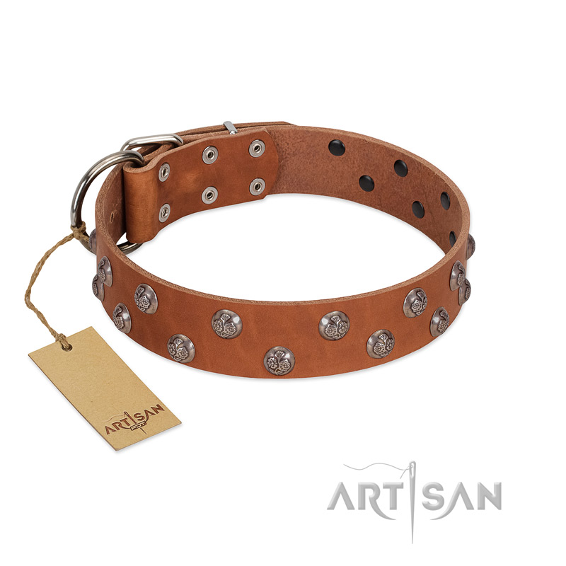 (image for) "Waltz of the Flowers" Handmade FDT Artisan Tan Leather American Bulldog Collar with Chrome-plated Engraved Studs