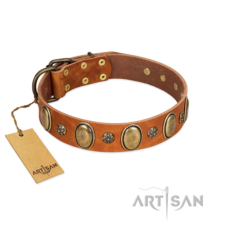 (image for) "Total Grace" FDT Artisan Brown Leather Dog Collar with Eye-catchy Ovals and Small Studs