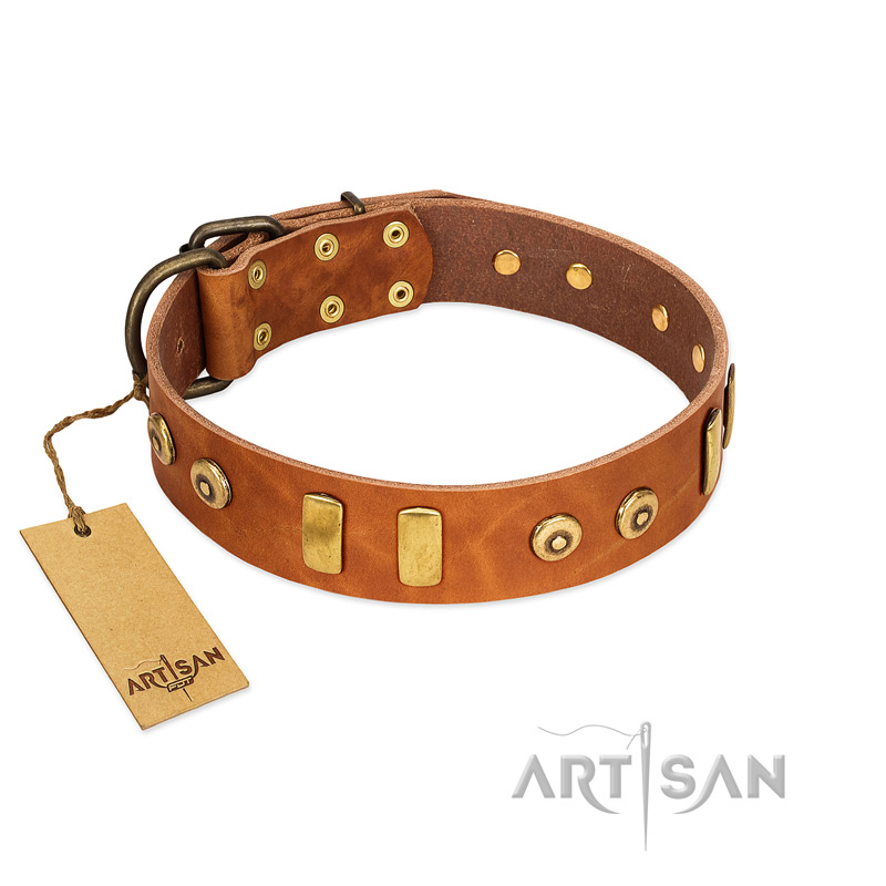 (image for) "Egyptian Script" FDT Artisan Tan Leather American Bulldog Collar with Plates and Small Studs