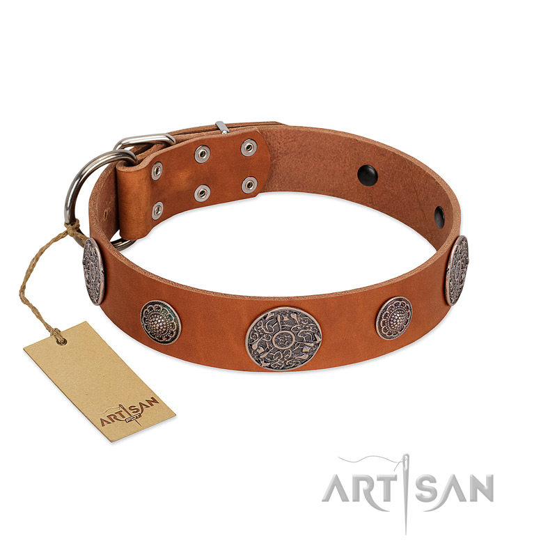 (image for) "Foxy Nature" FDT Artisan Tan Leather American Bulldog Collar with Chrome Plated Brooches