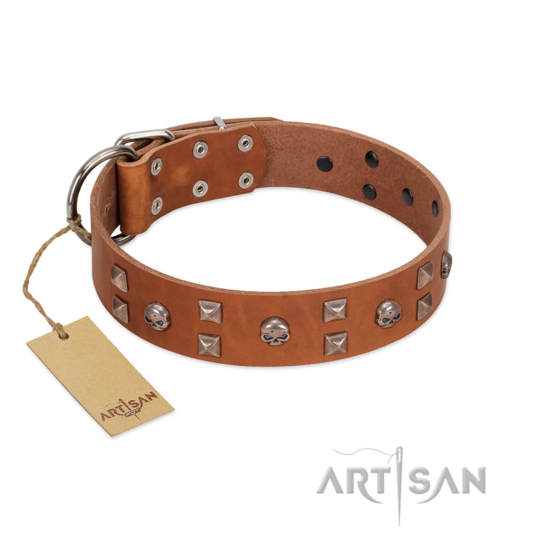(image for) "Enchanted Skulls" FDT Artisan Tan Leather American Bulldog Collar with Chrome Plated Skulls