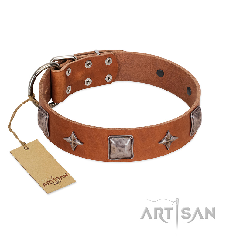 (image for) "Lucky Star" FDT Artisan Tan Leather American Bulldog Collar with Silver-Like Embellishments